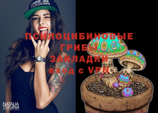 apvp Волоколамск