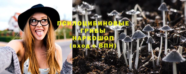 прущие крисы Володарск